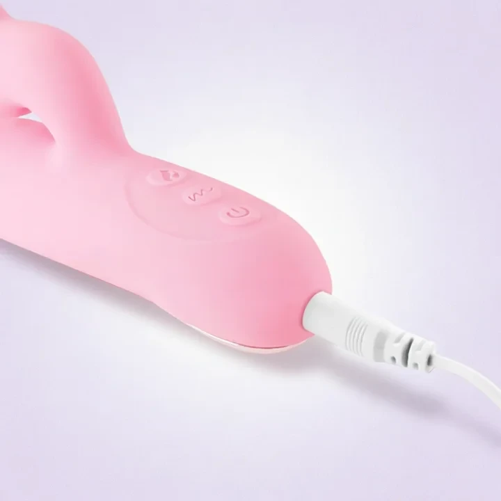 Product Description 2