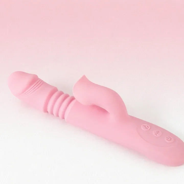 Product Description 5