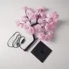 商品图片 6