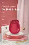 Vibrador de succión en forma de rosa para mujeres, 10 modos de succión, estimulador clitoriano, juguete erótico recargable en forma de rosa, masajeador de placer femenino, regalo romántico para mujeres, juguete sexual para mujeres 9