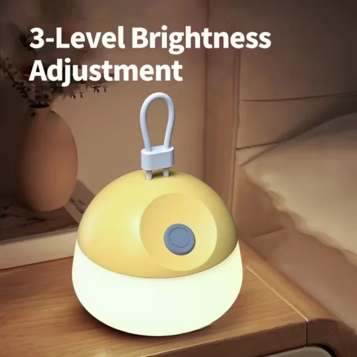 Product Description 5