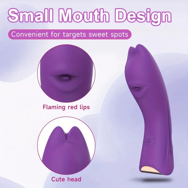 Product Description 4
