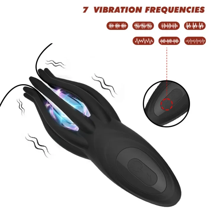 Product Description 5
