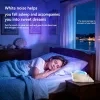 Lámpara de proyección Aurora con forma de concha marina, luz ambiental con ondas y olas del mar, ruido blanco incluye, regulación continua de intensidad luminosa, carga USB, proyección de colores, ideal para dormitorio, regalo perfecto para Navidad y Día de San Valentín 2