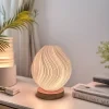 Cinta de luz LED RGB estilo nórdico moderno con control remoto - lámpara de escritorio de plástico alimentada por USB, ideal para dormitorios, salas de estar, oficinas y decoración de fiestas, con iluminación cálida y ajustable 4
