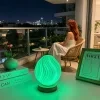 Cinta de luz LED RGB estilo nórdico moderno con control remoto - lámpara de escritorio de plástico alimentada por USB, ideal para dormitorios, salas de estar, oficinas y decoración de fiestas, con iluminación cálida y ajustable 2