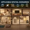 USB DIY desktop lamp with touch dimming and RGB functionality, switchable between desk lamp, wall lamp, and night light modes. 1200mAh rechargeable battery-powered night light, suitable for parties, bedrooms, living rooms, bars, offices, and also makes a great gift. 2