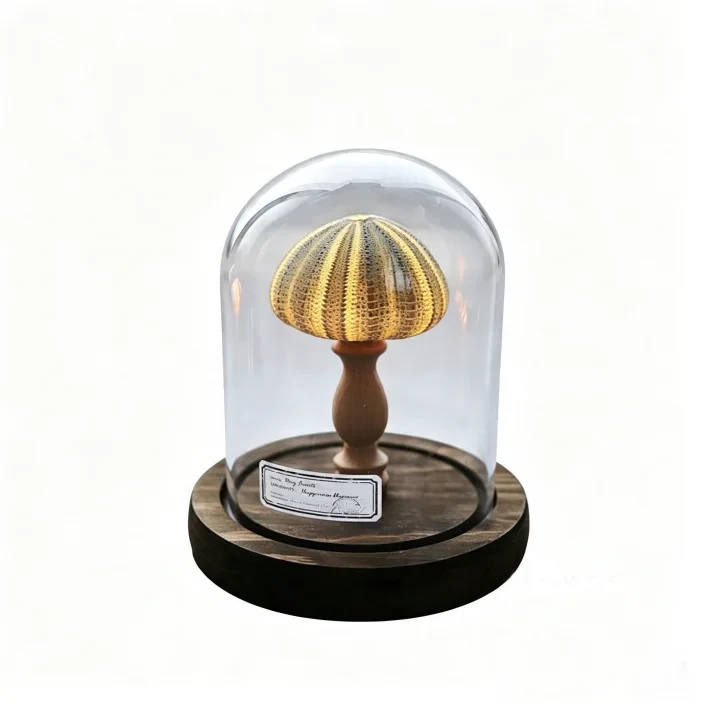 Green sea urchin / Battery model