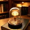 Ocean Island Retro Style, Shell Sea Urchin Snail Lamp, Small Night Light Ornament, Handcrafted Sea Urchin Night Light 3