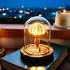 Ocean Island Retro Style, Shell Sea Urchin Snail Lamp, Small Night Light Ornament, Handcrafted Sea Urchin Night Light 5