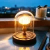 Ocean Island Retro Style, Shell Sea Urchin Snail Lamp, Small Night Light Ornament, Handcrafted Sea Urchin Night Light 6
