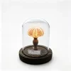 Ocean Island Retro Style, Shell Sea Urchin Snail Lamp, Small Night Light Ornament, Handcrafted Sea Urchin Night Light 7