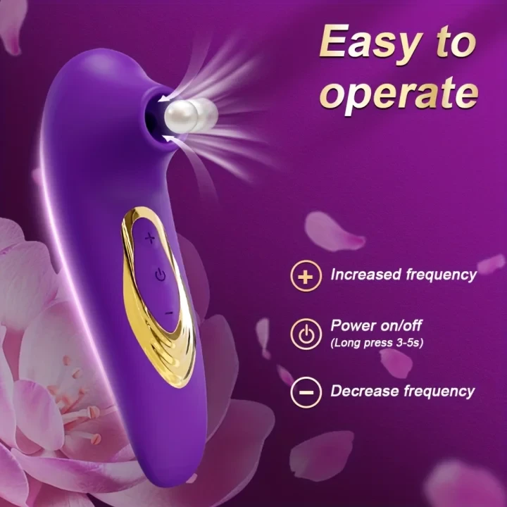 Product Description 5