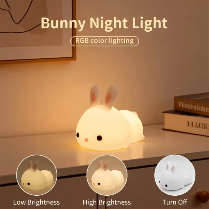 Product Description 2