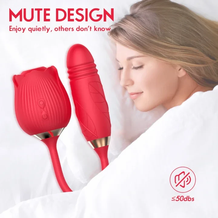 Product Description 4