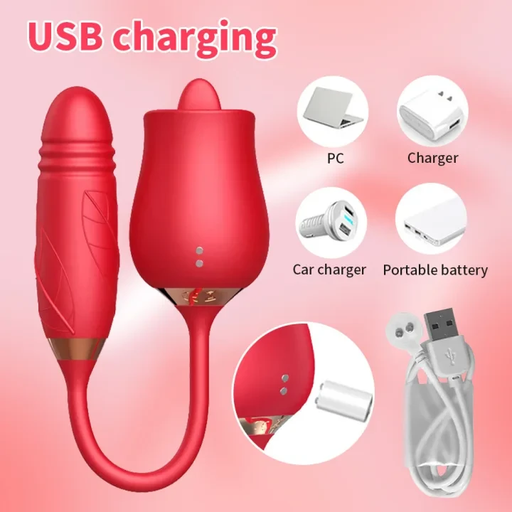 Product Description 3