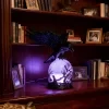 Lámpara de luna gótica con cuervo – Luz nocturna de resina brillante con estatua de cuervo posado, lámpara de mesa mística para dormitorio, estantería y oficina, regalo decorativo de Halloween y Navidad para coleccionistas góticos y amantes de los libros 2